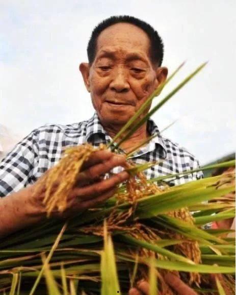 袁隆平徒弟爆料下棋视频,传承智慧，棋艺非凡