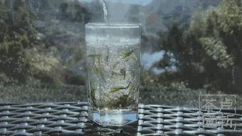 茶农世家最新爆料,传承千年的神秘茶事 第3张 茶农世家最新爆料,传承千年的神秘茶事 第3张