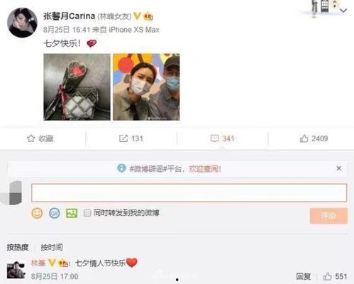 娱乐大爆料林峯视频,娱乐大爆料背后的精彩瞬间 第1张 娱乐大爆料林峯视频,娱乐大爆料背后的精彩瞬间 第1张